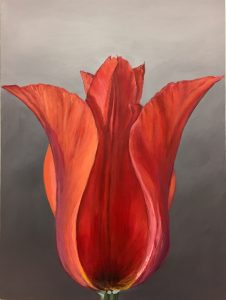 flower art, tulip, realism, fine art
